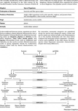 taxonomy