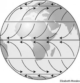 Wind Science