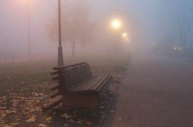 A park bench in the fog. A park bench in the fog.