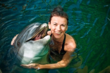 Swimming with dolphins might be on your bucket list. Swimming with dolphins might be on your bucket list.