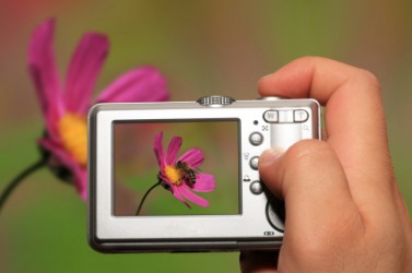 Taking a picture with a digital camera. Taking a picture with a digital camera.