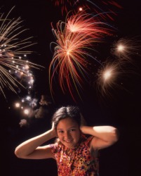 Fireworks make a lot of noise. Fireworks make a lot of noise.
