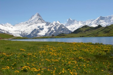 A view of the Bernese Alps. A view of the Bernese Alps.