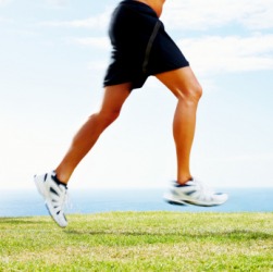 A leg is a limb. A leg is a limb.