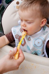 A child at mealtime wearing a bib. A child at mealtime wearing a bib.