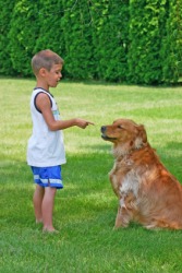 A boy gives his dog an admonition. A boy gives his dog an admonition.