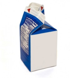 An example of an item is this milk carton. An example of an item is this milk carton.
