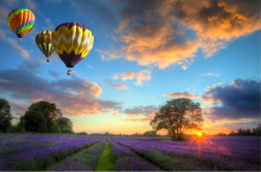These hot air balloons are aloft. These hot air balloons are aloft.