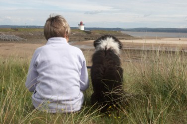 A faithful friend. A faithful friend.