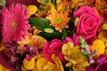 A gorgeous bunch of flowers. A gorgeous bunch of flowers.