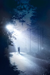 Moonlight shimmers through the trees. Moonlight shimmers through the trees.