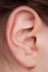 The ear is mostly cartilage. The ear is mostly cartilage.