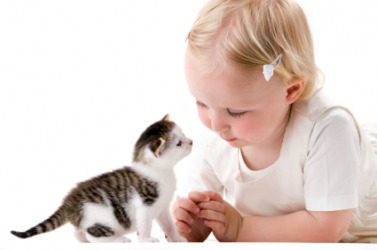 This child and kitten are alive. This child and kitten are alive.