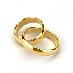 A pair of wedding rings. A pair of wedding rings.