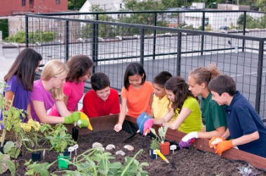 Young urban farmers tend a rooftop garden. Young urban farmers tend a rooftop garden.