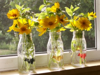 Flowers on the windowsill. Flowers on the windowsill.