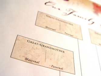 A chart used to create a family tree. A chart used to create a family tree.