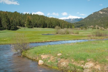The meadow is beyond the stream. The meadow is beyond the stream.