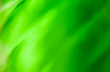 Nuance is the differnce between these shades of green. Nuance is the differnce between these shades of green.