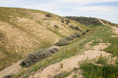 Part of the San Andreas fault. Part of the San Andreas fault.