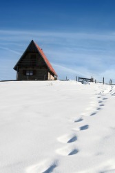 These footprints are evidence that someone has walked here. These footprints are evidence that someone has walked here.