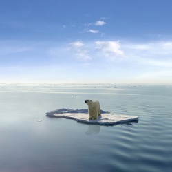 Melting polar ice caps are the result of global warming. Melting polar ice caps are the result of global warming.