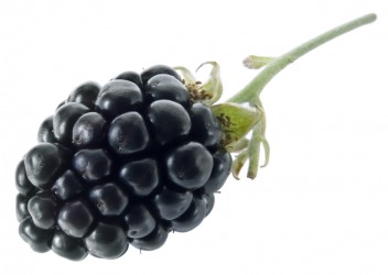 An aggregate fruit is the blackberry. An aggregate fruit is the blackberry.