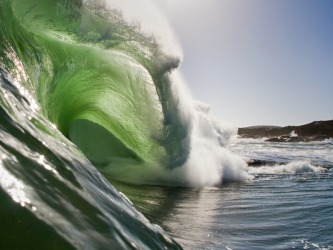 A prodigious wave. A prodigious wave.
