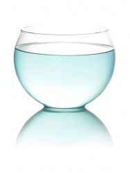 The property of the water in this bowl is an example of surface tension. The property of the water in this bowl is an example of surface tension.