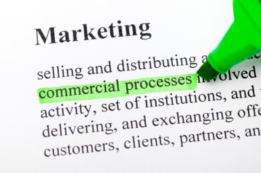 Emphasis is placed on these words using a green mark. Emphasis is placed on these words using a green mark.