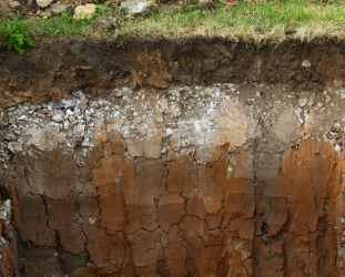 Layers of soil underlying the grass. Layers of soil underlying the grass.