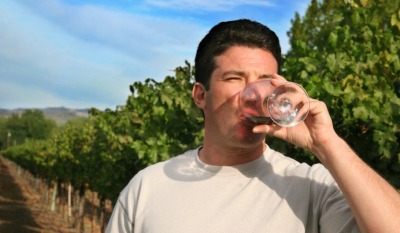A winegrower enjoys the fruit of his labor. A winegrower enjoys the fruit of his labor.
