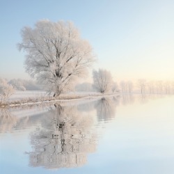 A beautiful winter morning. A beautiful winter morning.
