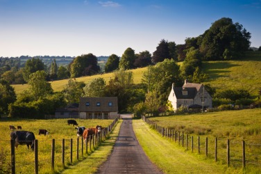 A peaceful country road. A peaceful country road.