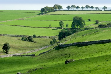 A lovely countryside view. A lovely countryside view.