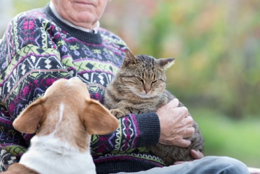 A pet owner showing partiality to his cat. A pet owner showing partiality to his cat.