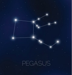 The constellation Pegasus The constellation Pegasus