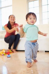 The baby persists, no matter how many times he falls down, in his pursuit to learn how to walk. The baby persists, no matter how many times he falls down, in his pursuit to learn how to walk.