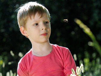The bee was being a pest because it wouldn't stop circling around the boy's head. The bee was being a pest because it wouldn't stop circling around the boy's head.
