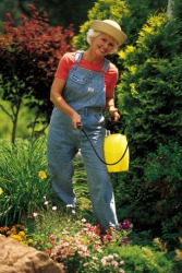 The woman is spraying pesticide to control the insects in her garden. The woman is spraying pesticide to control the insects in her garden.