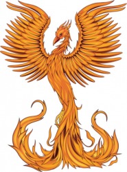 phoenix phoenix
