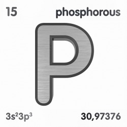 phosphorus phosphorus