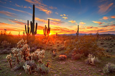 A poetic sunset in the desert. A poetic sunset in the desert.