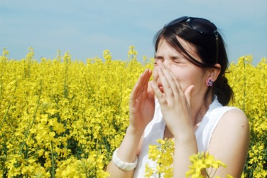 A woman with a pollen allergy. A woman with a pollen allergy.