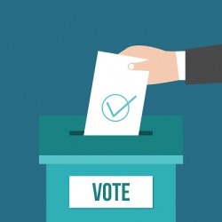 Vote Vote
