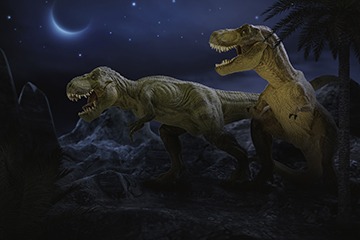 Tyrannosaurus Rex Tyrannosaurus Rex