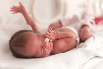 A premature baby at the hospital. A premature baby at the hospital.