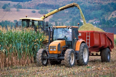 Harvesting corn Harvesting corn
