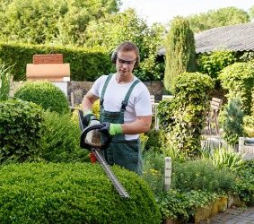 A professional landscaper A professional landscaper