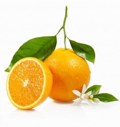 Orange Orange